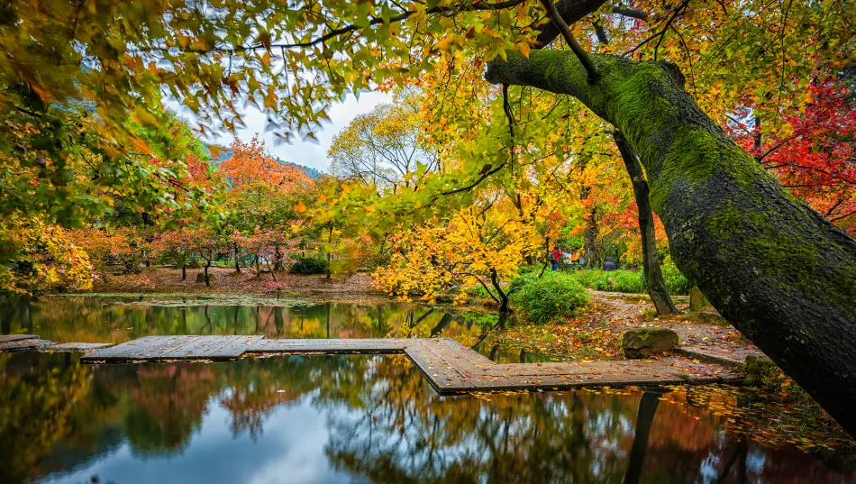 七台河七台河移动宽带